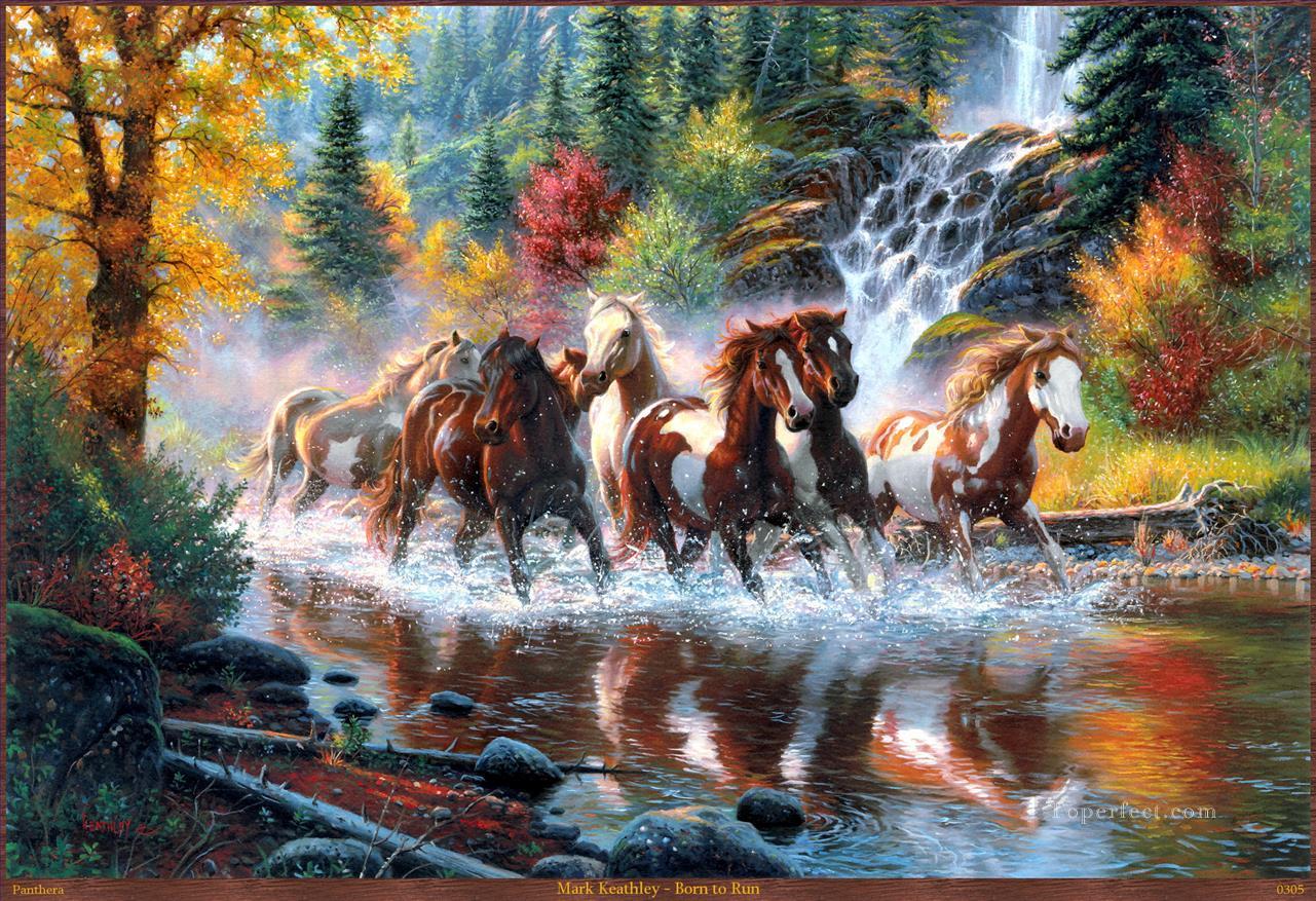 western American Indians born to run Oil Paintings